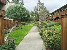 Newly Painted 2 Bedroom Condo - Available Now in Concord, CA