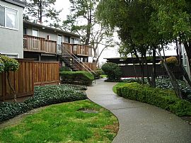 Newly Painted 2 Bedroom Condo - Available Now in Concord, CA (Photo 2 of 10)
