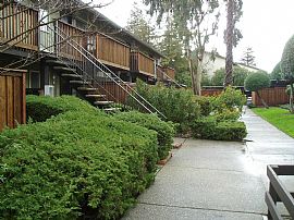 Newly Painted 2 Bedroom Condo - Available Now in Concord, CA (Photo 3 of 10)