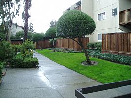 Newly Painted 2 Bedroom Condo - Available Now in Concord, CA (Photo 4 of 10)