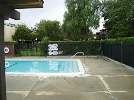 Newly Painted 2 Bedroom Condo - Available Now in Concord, CA (Photo 7 of 10)