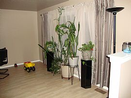 Spacious, Split Level 3 Bedroom Home with 2.5 Car Garage in Addison, IL (Photo 3 of 9)