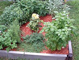 Lovely 2 Bedroom Apartment in 2 Family House in Lowell, MA (Photo 9 of 12)