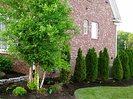 All Brick 4 Bedroom Home with 3700 Sq. Ft. - 5 Year Old   in Nolensville, TN (Photo 7 of 7)