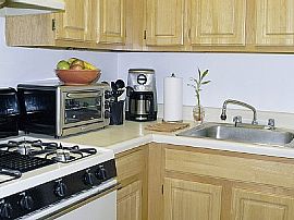 Immaculate1 Bedroom Apartment on The Edge of Downtown in Honolulu, HI (Photo 4 of 4)