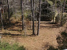 Cozy 3 Bedroom Home on  Large Lot in Swim/Tennis Neighborhood! in Kennesaw, GA (Photo 6 of 6)