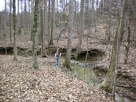 Executive 3 Bedroom Home on 6 Acre Horse Farm  in Salisbury, NC (Photo 2 of 2)