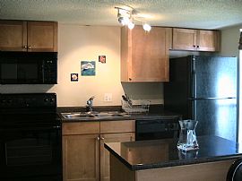 Recently Renovated Condo - Close to UF and Everything in Gainesville, FL
