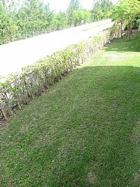 Nice 2 Bedroom Apartment - Apartamento En Renta Miami in Miami, FL (Photo 5 of 11)