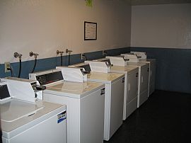 Spacious 1 BR, 1 BA Apartment  - Diversity and Dogs? Definitely! in Silver Lake, CA (Photo 4 of 5)