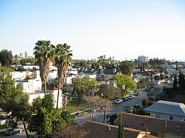 Spacious 1 BR, 1 BA Apartment  - Diversity and Dogs? Definitely! in Silver Lake, CA (Photo 5 of 5)