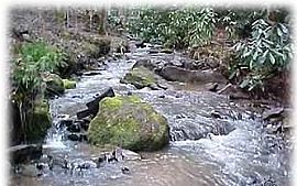  Vacation Home - Smoky Mountains - Special $89 in Sylva, NC (Photo 4 of 12)