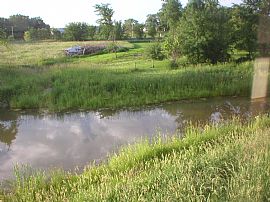 Private, Newer 3 Bedroom Home with Pond View in Mayer, MN (Photo 4 of 7)