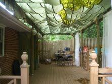 Beautiful 3 Bedroom Home with Fenced Yard in Decatur, GA (Photo 7 of 12)