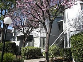 Luxurious 2 Bedroom Condo with 1200 sq. ft. in Warm Springs in Fremont, CA