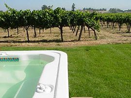 Gorgeous 3 Bedroom Home in Olivet Vineyard in Santa Rosa, CA (Photo 4 of 4)