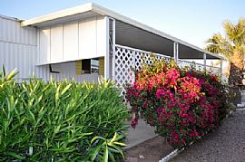 Rental Home, Long Term/permanent F/f in Lovely 55+ Active Park  in Apache Junction, AZ (Photo 1 of 9)