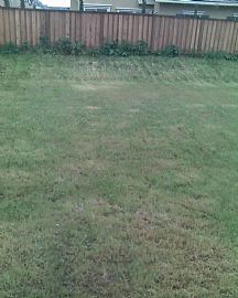 Beautiful 5 Bedroom Home in Popular Bethany in Mountain House, CA (Photo 11 of 12)