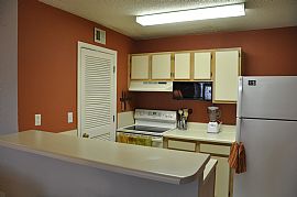 Cute 1 Bedroom Condo - Stay and Play in Sandy Springs! in Sandy Springs, GA (Photo 3 of 4)