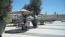 Luxury Celebrity 2 Bedroom High Rise Condo - Dog Friendly in West Hollywood, CA (Photo 7 of 9)