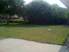 Perfect 3 Bedroom Home For Single Family in Brooklyn Center    in Brooklyn Center, MN (Photo 8 of 8)