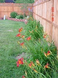 Renovated  3 Bedroom Home with Garage and Basement $1250 in Indianapolis, IN (Photo 3 of 5)