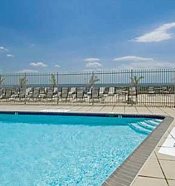 Furnished 1 Bedroom Apartment with Award-Winning Design in Arlington, VA (Photo 2 of 8)