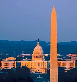 Furnished 1 Bedroom Apartment with Award-Winning Design in Arlington, VA (Photo 3 of 8)