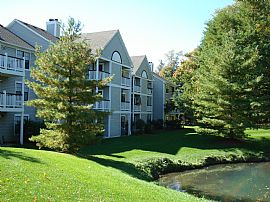 Large Dogs Welcome in Stow, OH (Photo 2 of 4)