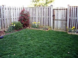 $1300 Spacious 3 Br 2.5 Ba Frederick Townhouse Avail July 1 in Frederick, MD (Photo 2 of 2)