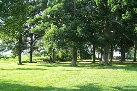 Grand Victorian 4 Bedroom Home - Former B&B on 6 Acres in Atwood, IL (Photo 5 of 5)