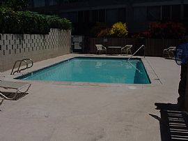 Furnished 1 Br, 1 Ba Apartment at Wilder Ave. in Honolulu, HI (Photo 4 of 10)