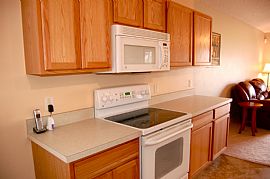 Attractive 3 Bedroom Home with Brand New Carpet! in Apopka, FL (Photo 5 of 7)