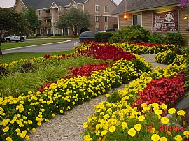 Convenient, Comfortable 2 Bedroom Apartment in Great Location  in Grand Rapids, MI