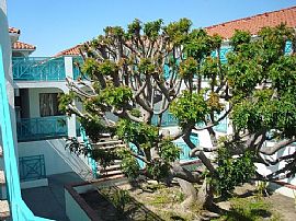 Attractive 2 Bedroom Apartment - 1st Month Free! in Hawthorne, CA (Photo 3 of 4)