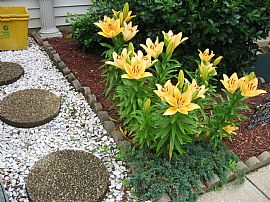 Great 3 Bedroom Townhouse Rent to Own - Great Location! in Laurel, MD (Photo 2 of 12)