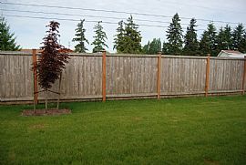 Clean, New and Modern 3 Bedroom Townhouse with Hardwood Floors in Puyallup, WA (Photo 1 of 6)