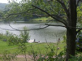 Cute, Red 3 Bedroom Home on The Lake - Weekly Rates Available in Andes, NY (Photo 7 of 7)