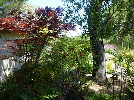 Lovely Furnished 2 Bedroom Home - Available For 1-3 Months in Santa Rosa, CA (Photo 5 of 5)