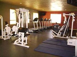 Terrific 4 Bedroom Apartment in Stone Gate Apartments  in Harrisonburg, VA (Photo 10 of 11)