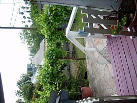 Beautiful 3 Bedroom Home with Yard in Glendale, CA (Photo 3 of 9)