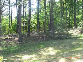 Recently Renovated 3 Bedroom/2 Bath Home in Lithia Springs, GA (Photo 5 of 5)