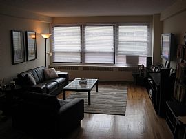 Newly Rehabbed 1 Bedroom Condo on The Lake in Chicago, IL