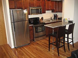 Newly Rehabbed 1 Bedroom Condo on The Lake in Chicago, IL (Photo 2 of 9)