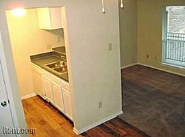 1 Bedroom Apartment with Rent Starting As Low As $419 Per Mo! in Dallas, TX (Photo 5 of 5)
