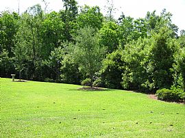 Bright and Airy 4 Bedroom Home - Walk to The Golf Course in Ocean Springs, MS (Photo 5 of 12)