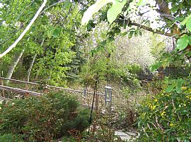 Dream Home with Forested Landscape and Stream in Kaysville, UT (Photo 12 of 12)