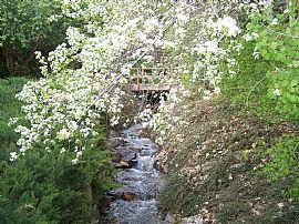 Dream Home with Forested Landscape and Stream in Kaysville, UT (Photo 4 of 12)