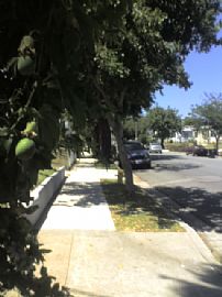 Renovated 2 Bedroom Home with Hardwood Floors Throughout in Los Angeles, CA (Photo 10 of 10)