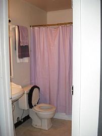 Lovely Updated 2 Bedroom Townhouse with Private Fenced Patio in Matteson, IL (Photo 4 of 5)